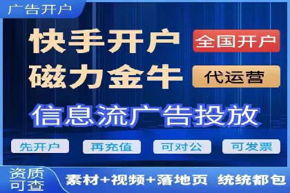 百度竞价广告成功案例：如何实现ROI最大化